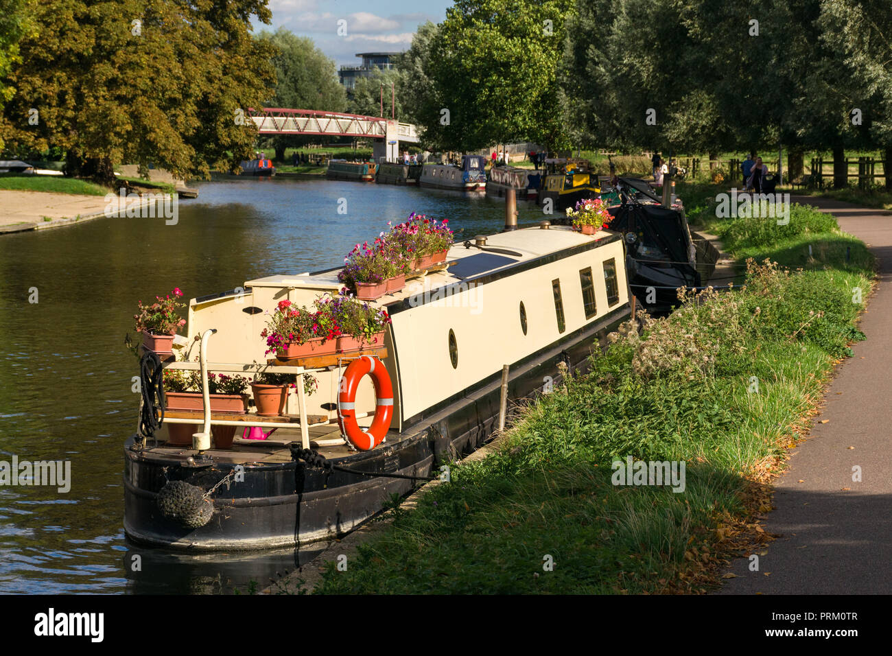 Eine Reihe von schmalen Boote auf dem Fluss Cam von Midsummer Common, Cambridge, Großbritannien Stockfoto