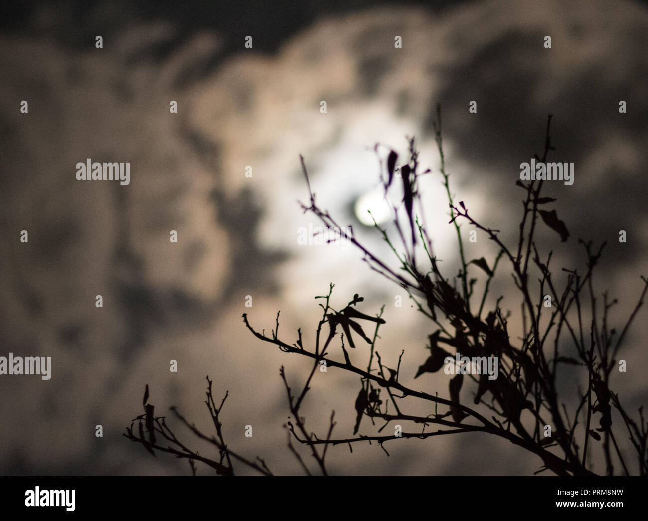 Vollmond hinter Wolken in mondhellen Nacht Stockfoto