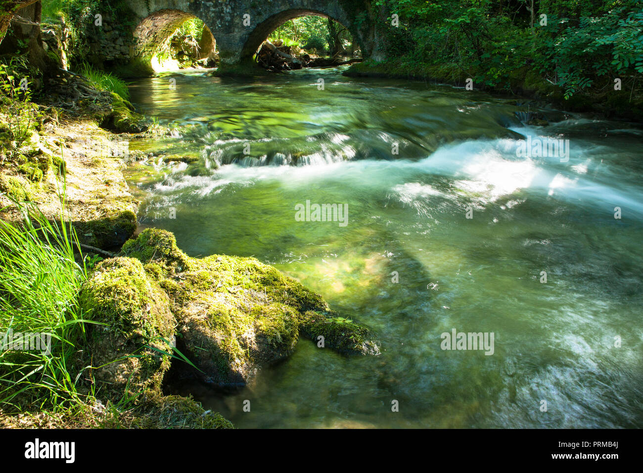 Schnell fließenden Land stream Stockfoto