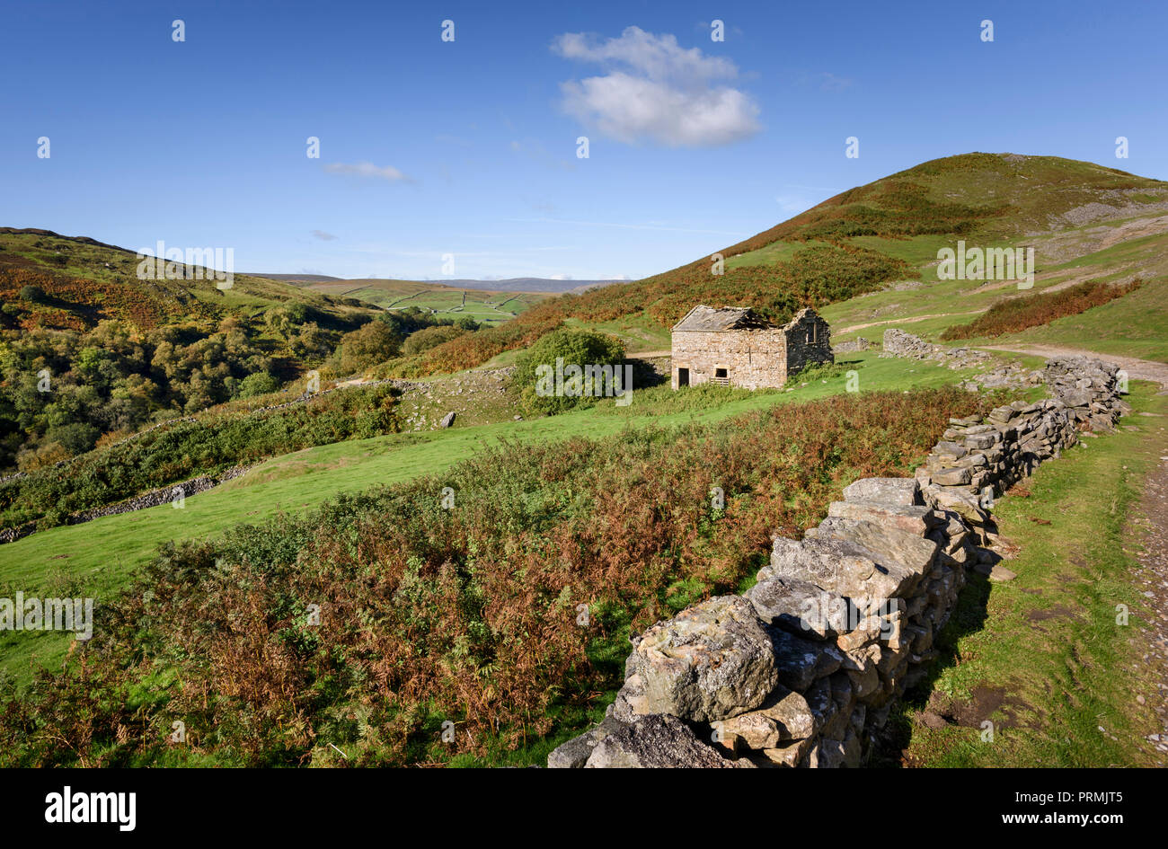 Swaledale Steinmauer und Scheune in der Landschaft in der Nähe von Keld Abschnitt der Pennine Way in der North Yorkshire Dales Stockfoto