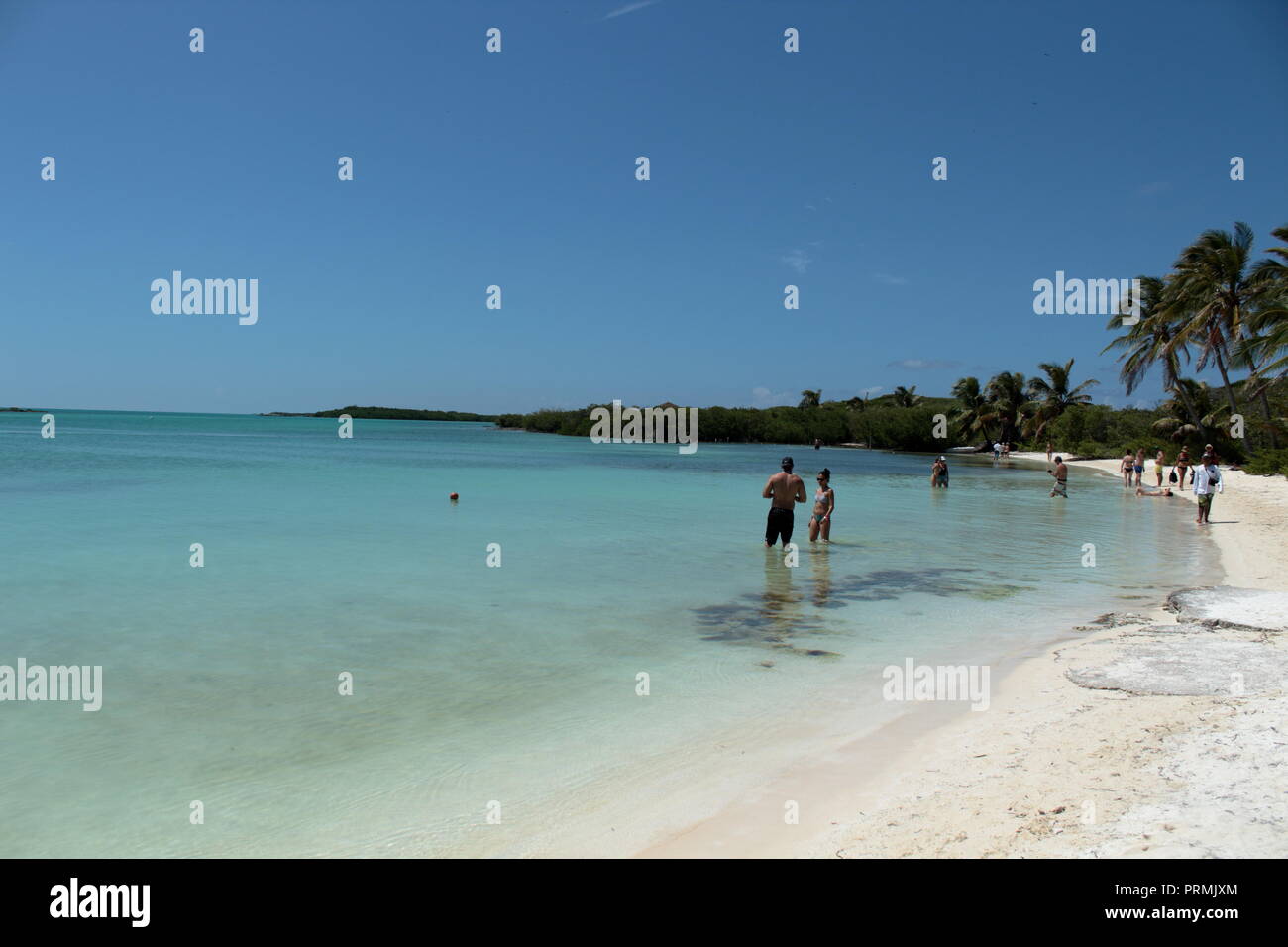 Touristen, die in der Isla Contoy in Mexiko geschützt seit 1961, jetzt im Besitz von der mexikanischen Bundesregierung und der Zugriff ist auf 200 Besucher begrenzt Stockfoto