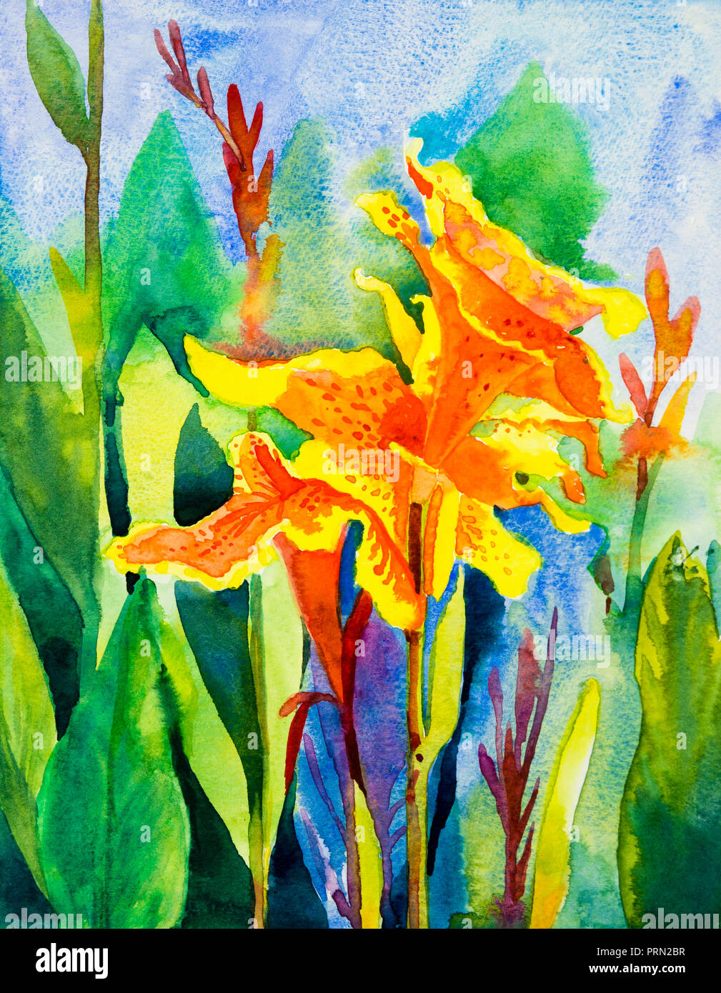 Aquarell landschaft gemälde original bunte Canna Lily Blumen und Grünes Blatt im blauen Himmel Hintergrund. Hand gemalte Illustration, die Schönheit der Natur Stockfoto