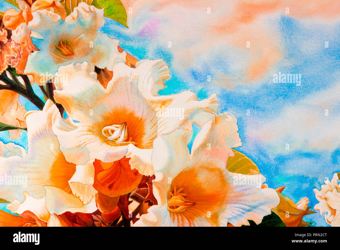 Aquarell landschaft gemälde Original realistisch, bunte Herald Trompete Blumen in blauer Himmel. Von Hand bemalt mit Schönheit Natur Winter s Stockfoto