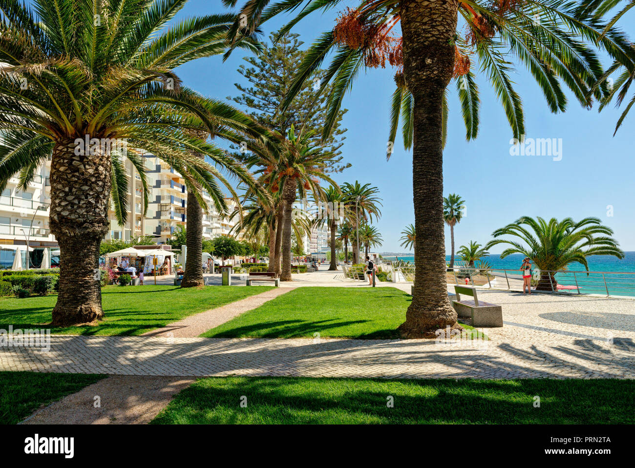 Armacao de Pera Promenade, Rasenflächen und Palmen Stockfoto