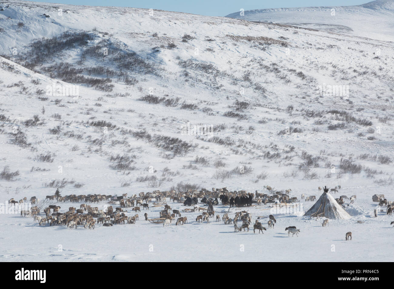 Nomad Stockfotos und bilder Kaufen Alamy Nomad Stockfotos und bilder Kaufen Alamy