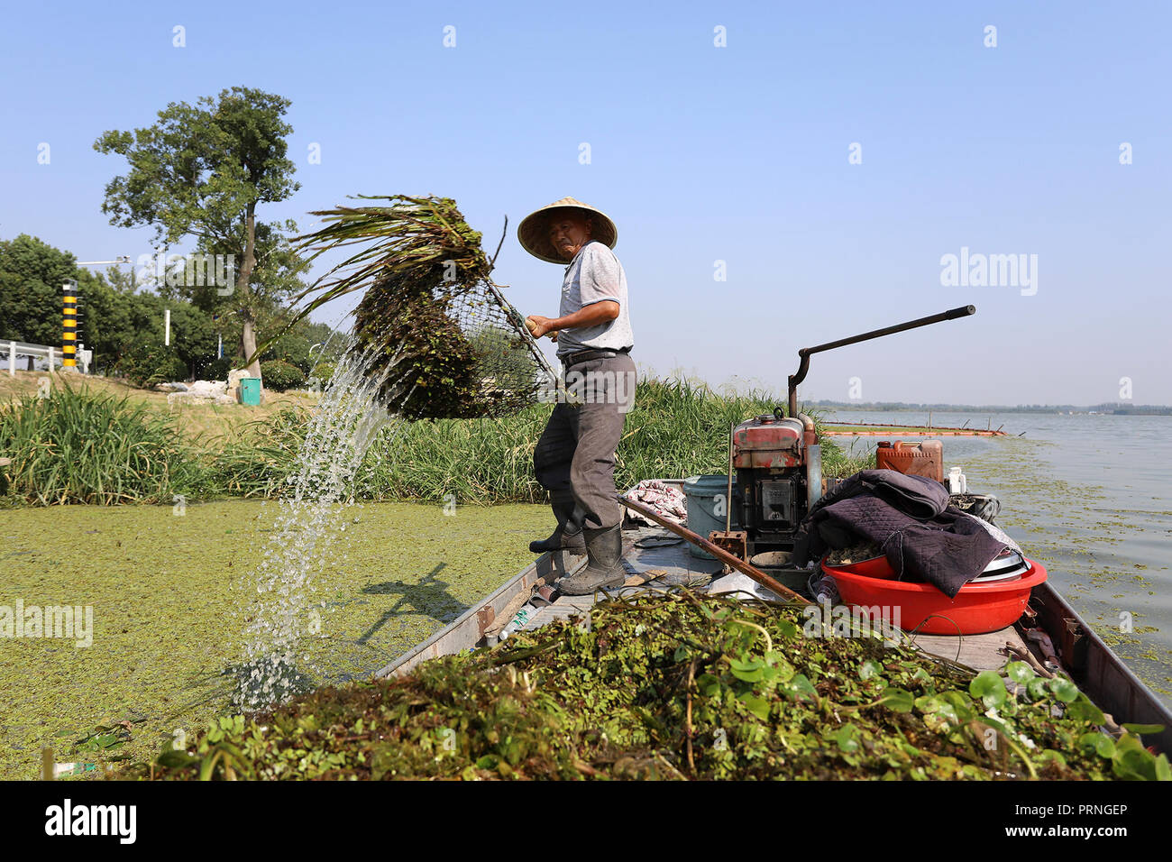 (181004) - HUAI'AN, der 4. Oktober 2018 (Xinhua) - ein Arbeitnehmer Dredgen bis Wasser Pflanzen aus baima See in Ningbo Stadt, im Osten der chinesischen Provinz Jiangsu, der 4. Oktober 2018. Menschen aus verschiedenen Branchen ihre Beiträge während der nationalen Feiertag. (Xinhua / Wan-Zhen) (Wsw) Stockfoto