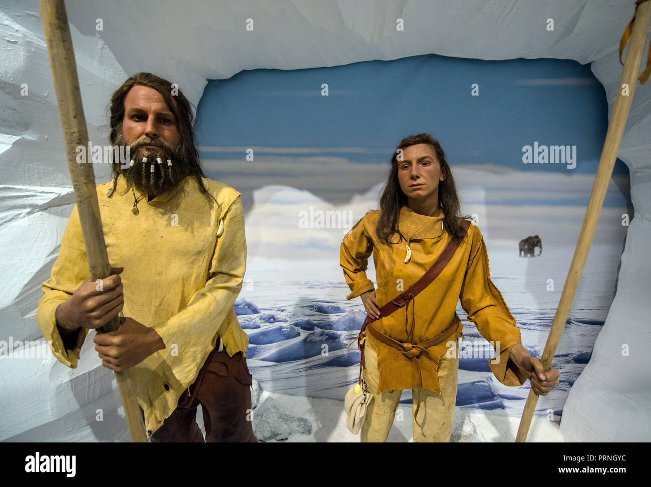 Cro Magnon Stockfotos und bilder Kaufen Alamy