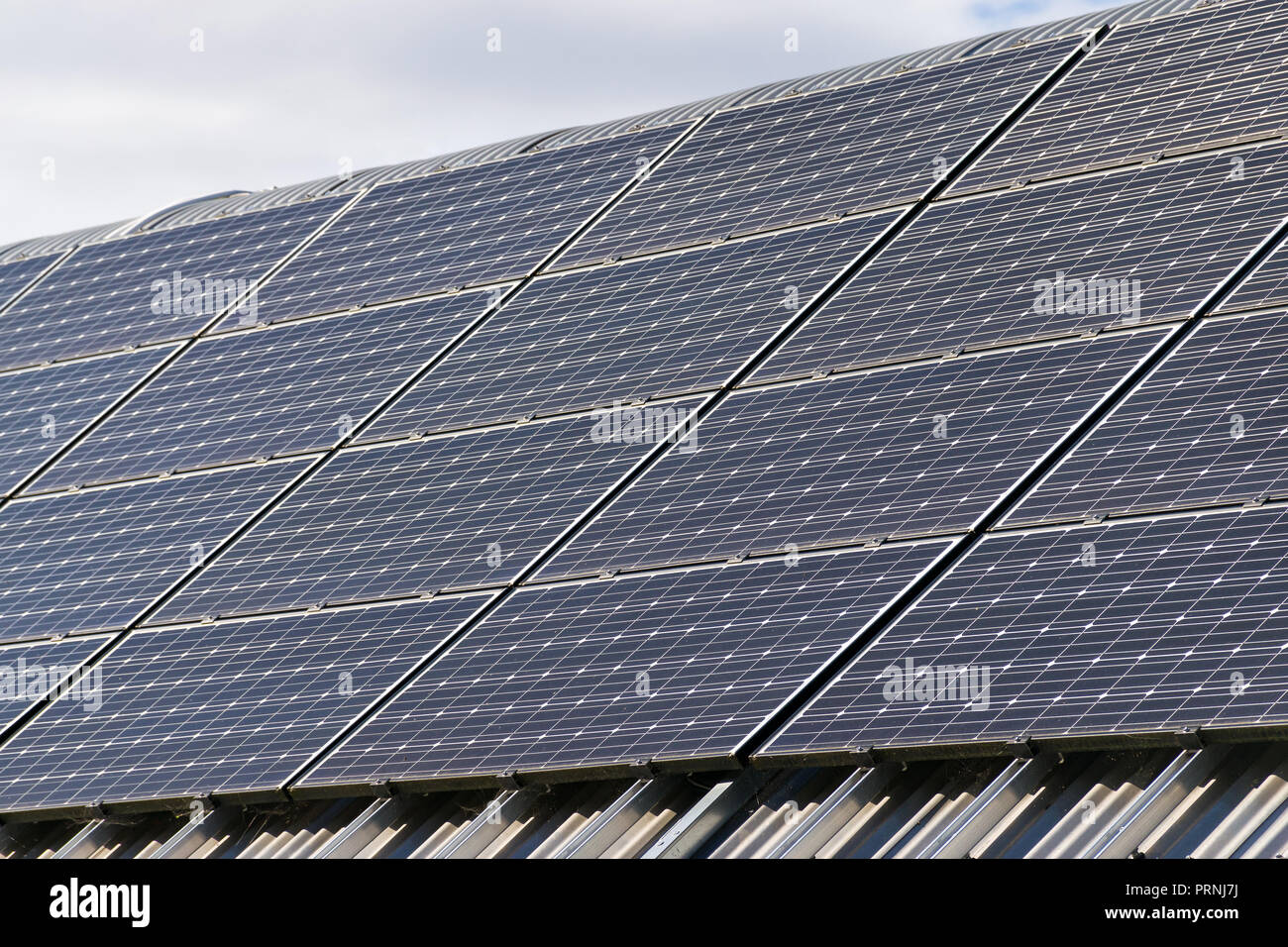 Eine große Reihe von Solarzellen auf einem Dach an einem sonnigen Tag Stockfoto