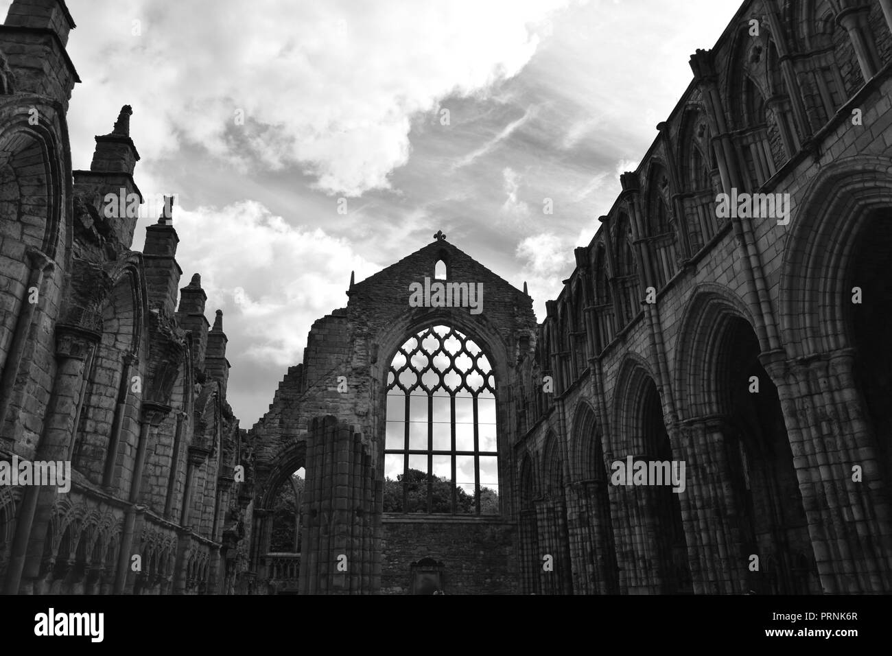 Schönheit in den Ruinen der Holyrood Abby, Schottland Stockfoto