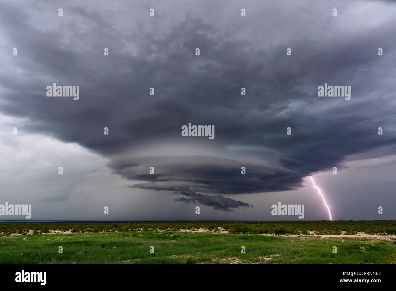 Supercell Sturm mit dramatischen Wolken und Blitz in der Nähe von San Simon, Arizona Stockfoto