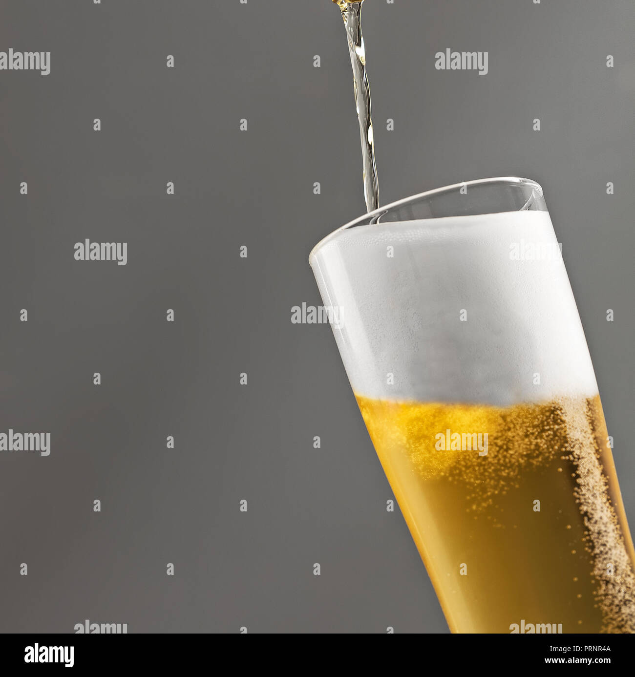 Bier ins Glas mit grauen Hintergrund. Stockfoto