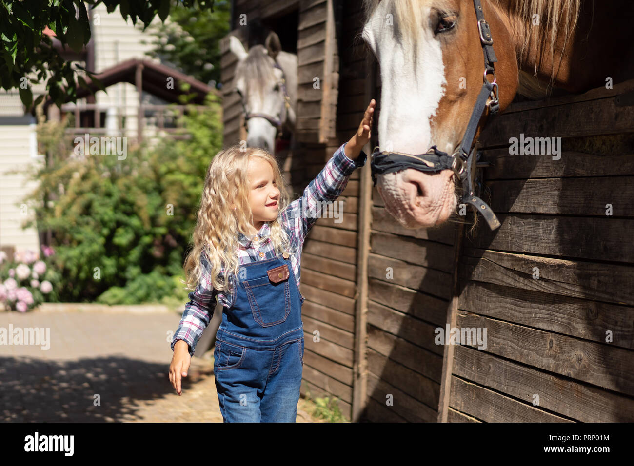 Kind berühren Pferd außerhalb des stabilen am Bauernhof Stockfoto