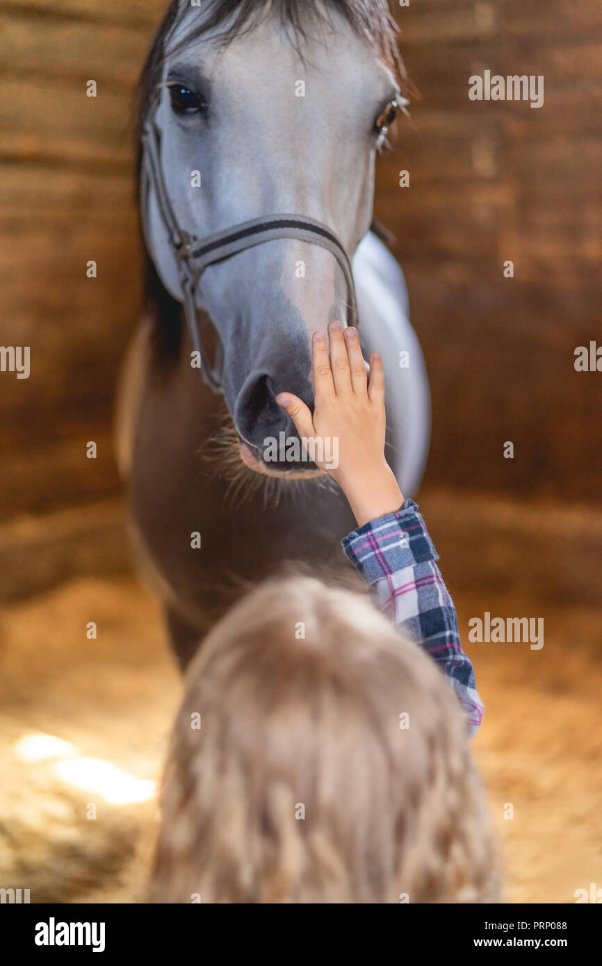 Rückansicht des Kid berühren horse farm Stockfoto