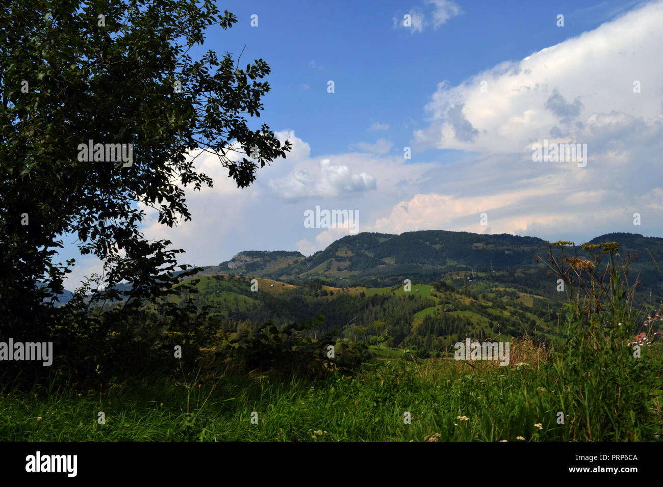 Bran-Rucar Korridor und der Piatra Craiului Berge am Horizont 1. Stockfoto
