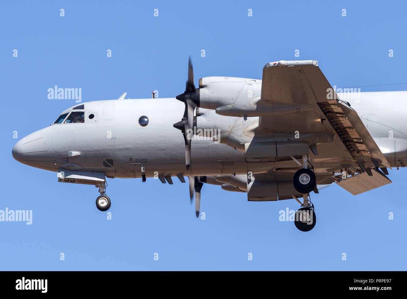 Royal Australian Air Force (RAAF) Lockheed AP-3C Orion Maritime Patrol und Anti-U-Boot Kriegsführung Flugzeuge. Stockfoto