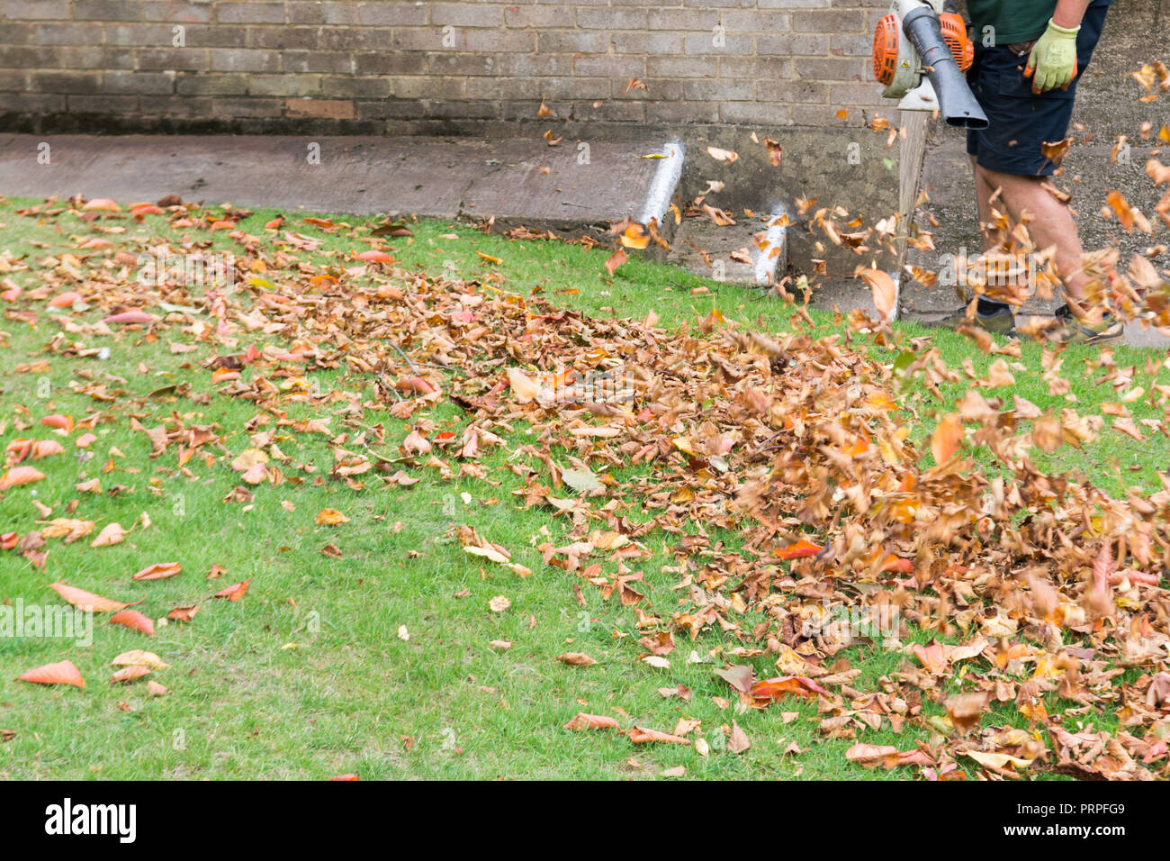 Mann mit einem laubbläser einen Garten Rasen ordentlich Stockfoto