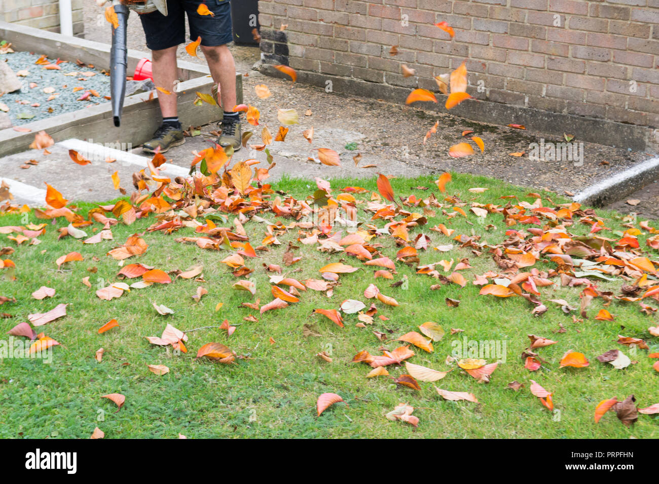 Mann mit einem laubbläser einen Garten Rasen ordentlich Stockfoto