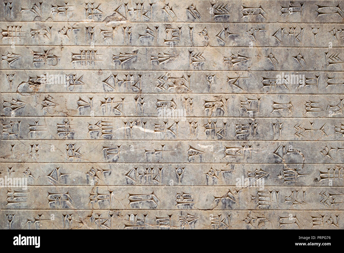 Eine alte persische Gravur auf einer Wand der Apadana in Persepolis, Iran Stockfoto