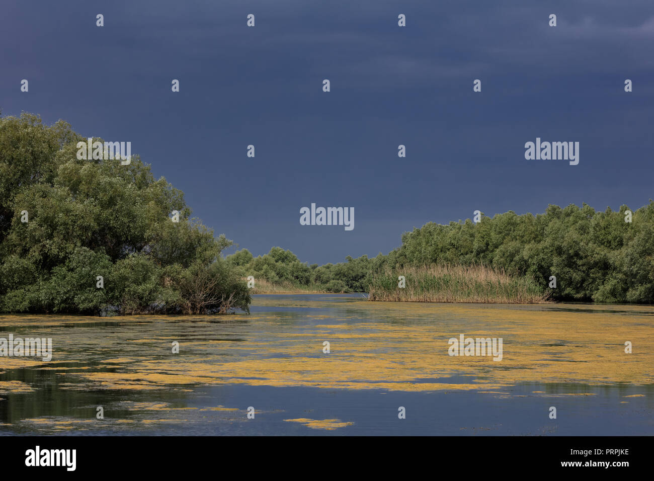 Landschaft im Donaudelta, Rumänien, Europa Stockfoto