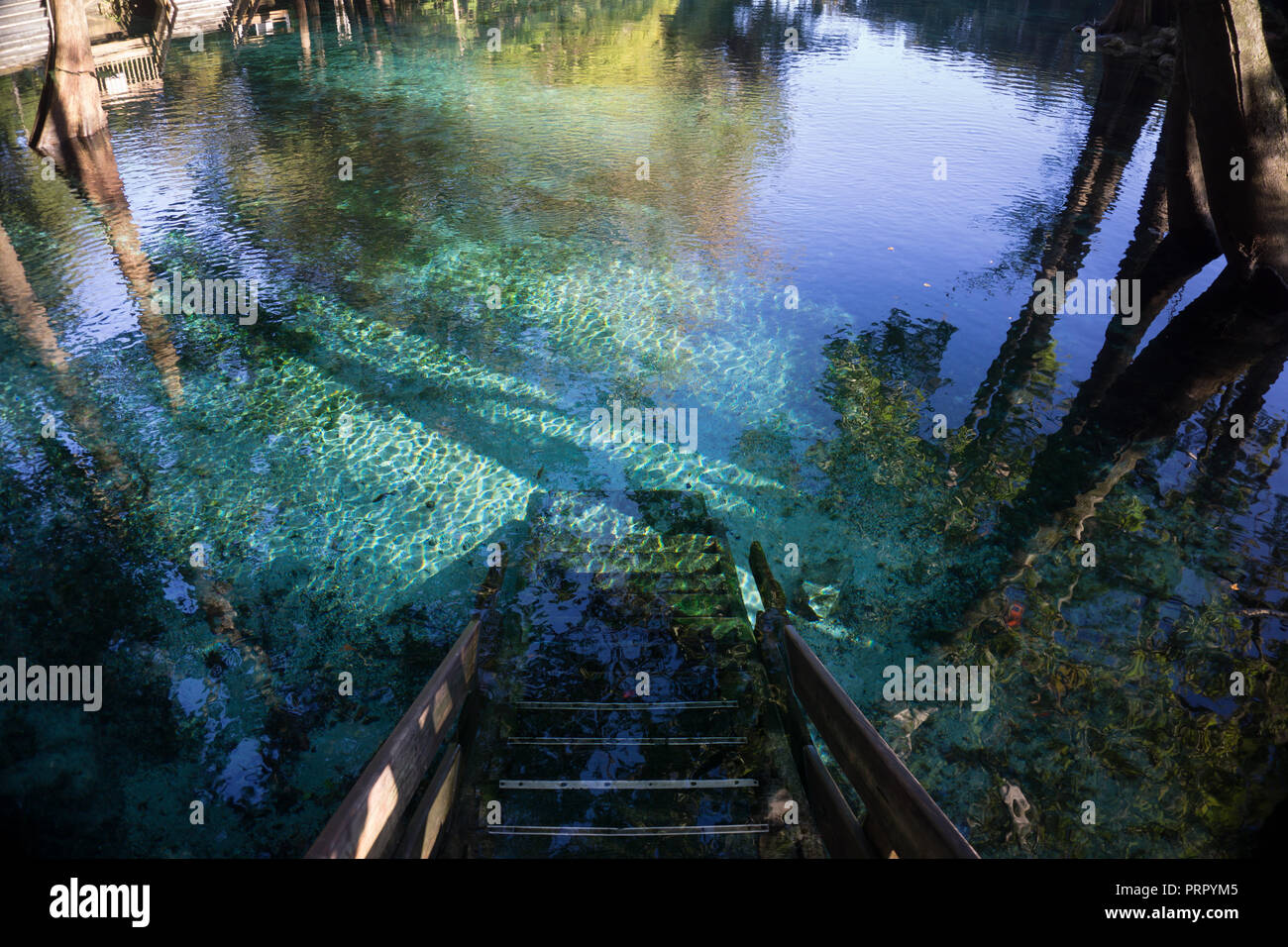 Holztreppe Treppe hinunter in das kristallklare türkise Wasser von Ginnie Springs, Florida. In Santa Fe River Stockfoto