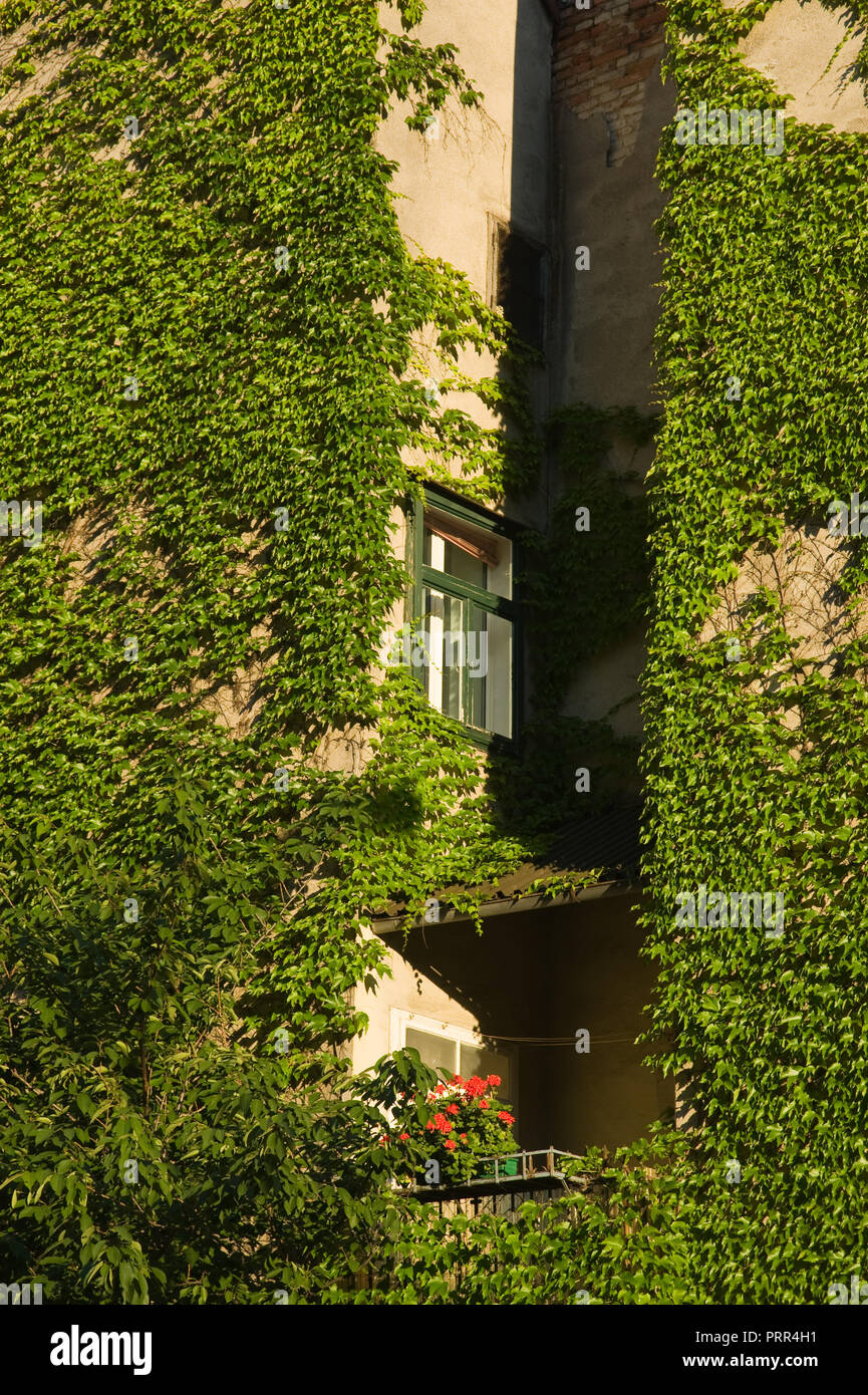 Wien, begrünte Hausfassade Stockfoto