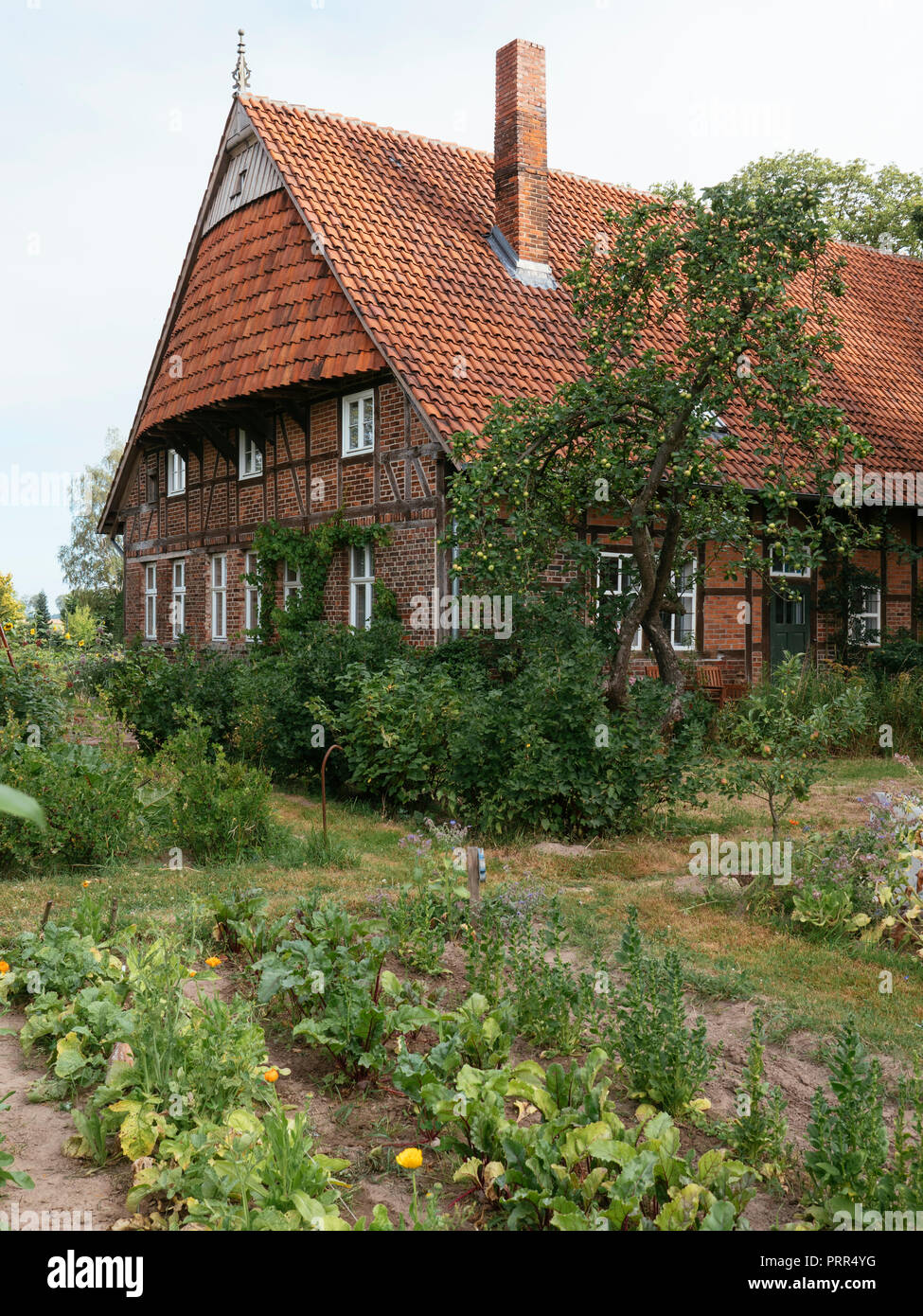 Traditionelle ostwestfälischen Bauernhaus von 1875 mit Bauern Garten in Deutschland in der Nähe von Petershagen. Stockfoto