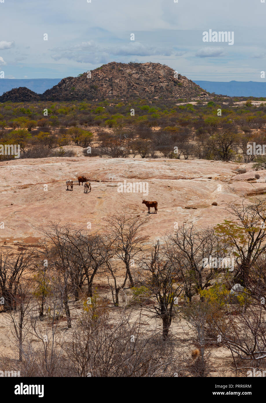 Tchitundo Hulo Hugel Landschaft Provinz Namibe Capolopopo Angola Stockfotografie Alamy