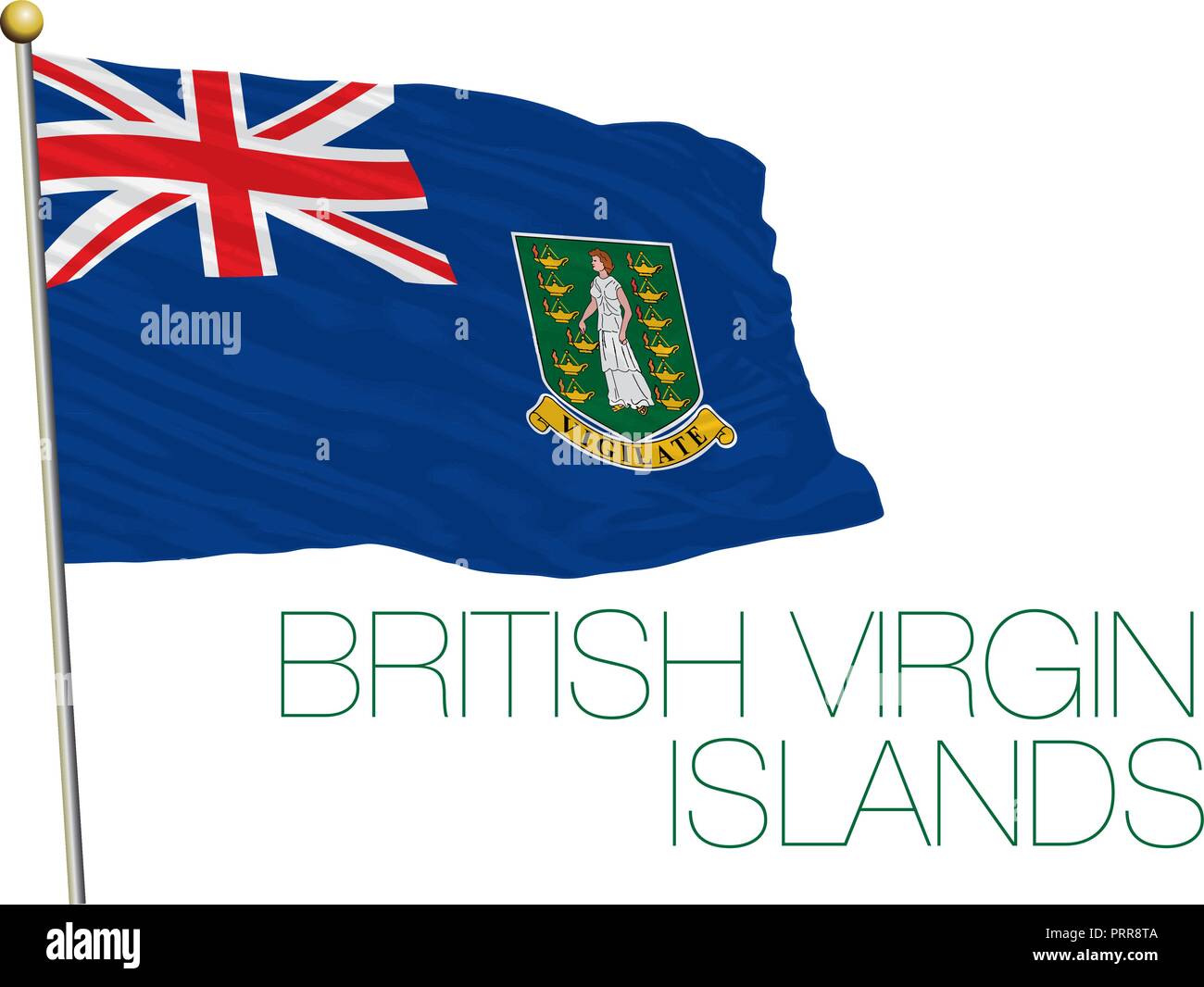 British Virgin Islands offizielle Flagge, Vector Illustration Stock Vektor
