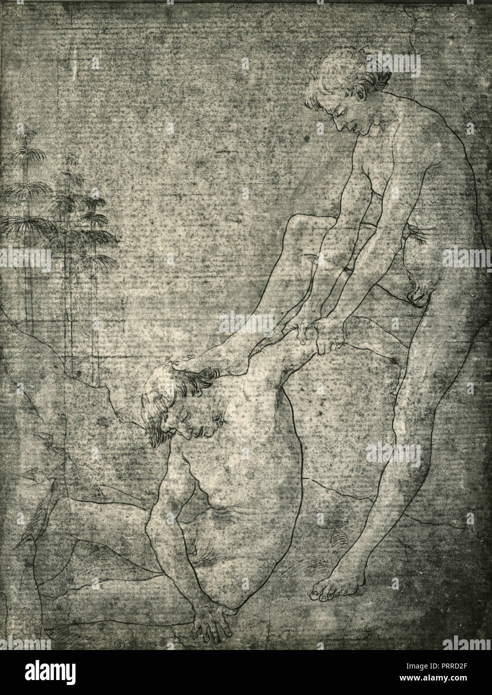 Körper Studien, Zeichnung von Pollaiuolo, 1920er Jahre Stockfoto