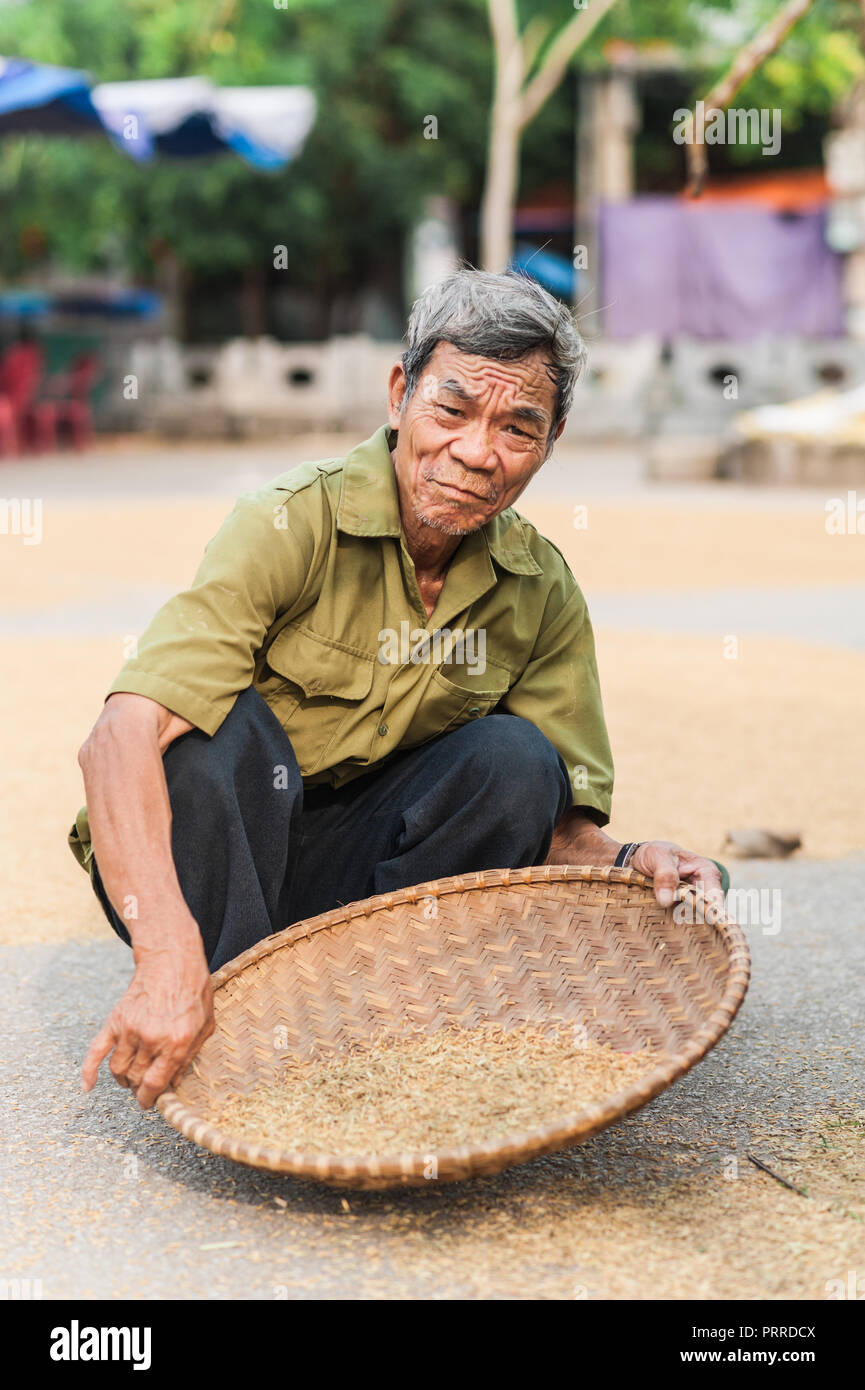 Van Lam Dorf, Vietnam - 17. Oktober 2016. Lokaler Mann Sichten throung die Körner aus dem Reis der Ernte trocknen auf dem Boden. In der Nähe der Vung Straßenbahn Pier. Stockfoto