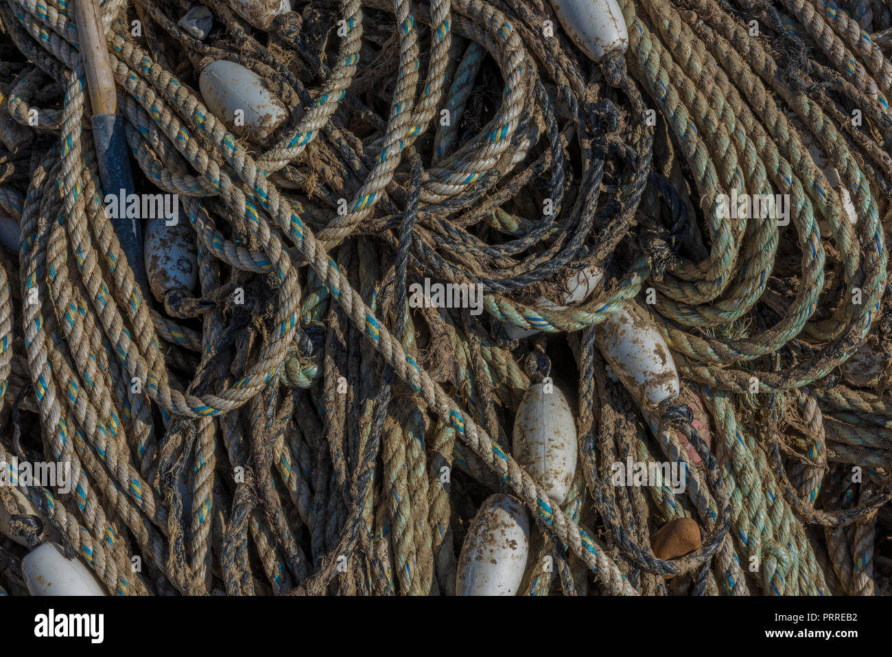 Fischernetze und Seilen gewunden bis in einen Heap mit Fischen schwimmt, Stockfoto
