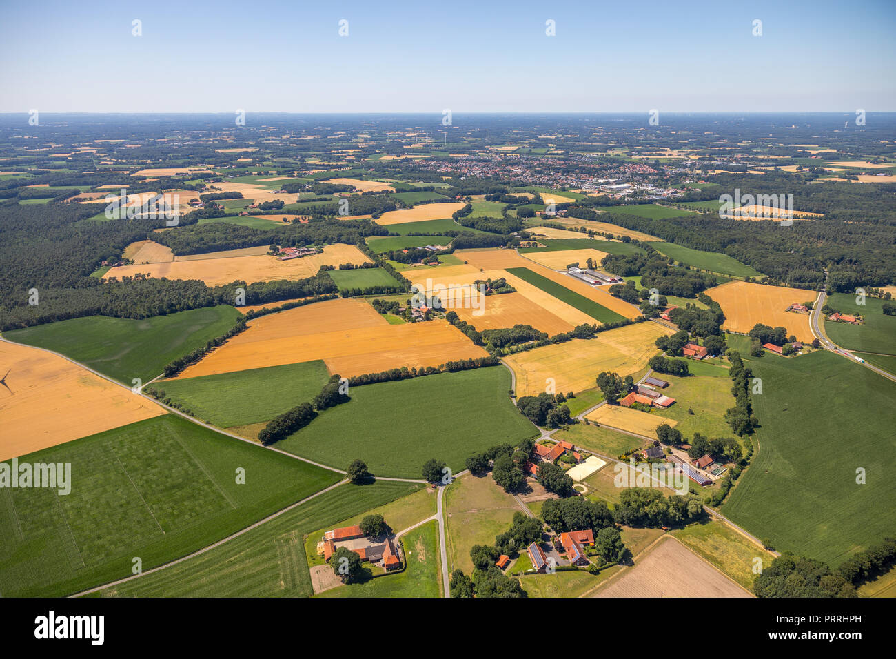 Übersicht, Farmen mit Getreidefeldern, Schirl, Ostbevern, Münsterland, Nordrhein-Westfalen, Deutschland Stockfoto