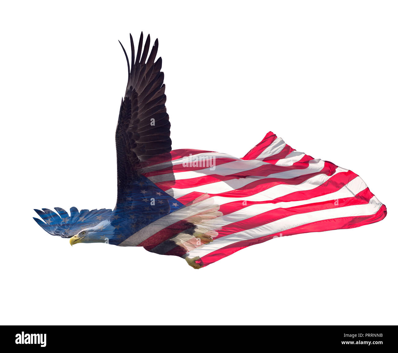 Double Exposure Effekt der nordamerikanischen Weißkopfseeadler auf der amerikanischen Flagge. Stockfoto