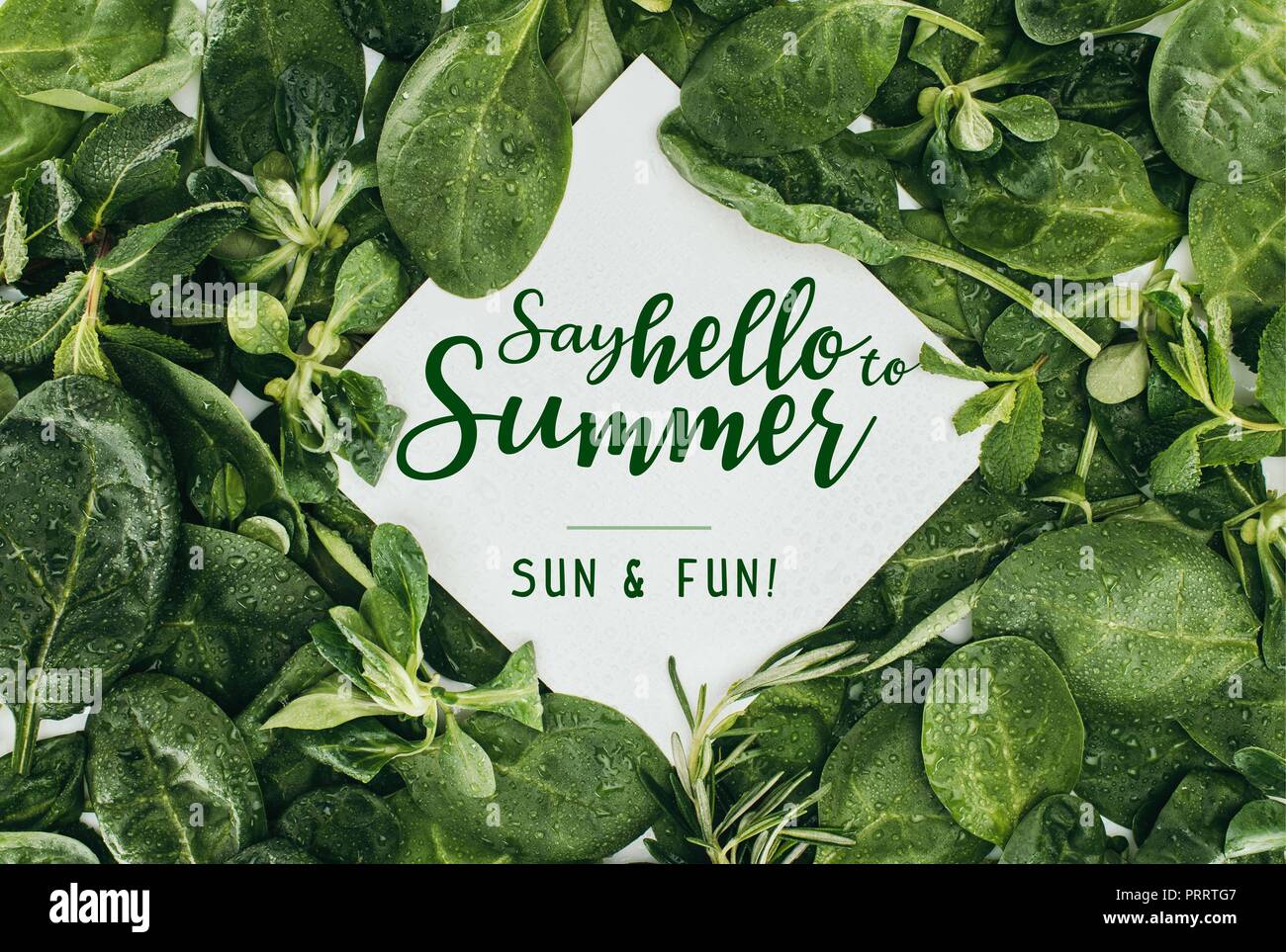 Blick von oben auf die weiße Karte mit Worten sagen Sie Hallo zu Sommer und schön nass grüne Blätter Stockfoto
