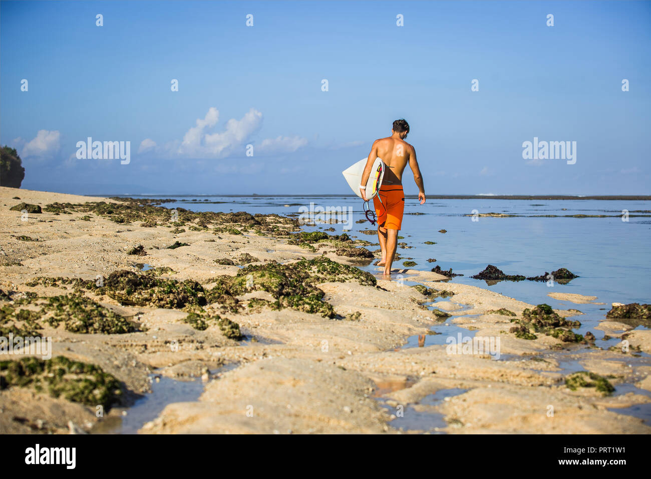 Rückansicht der Sportler mit Surfen Board zu Fuß am Sandstrand Stockfoto