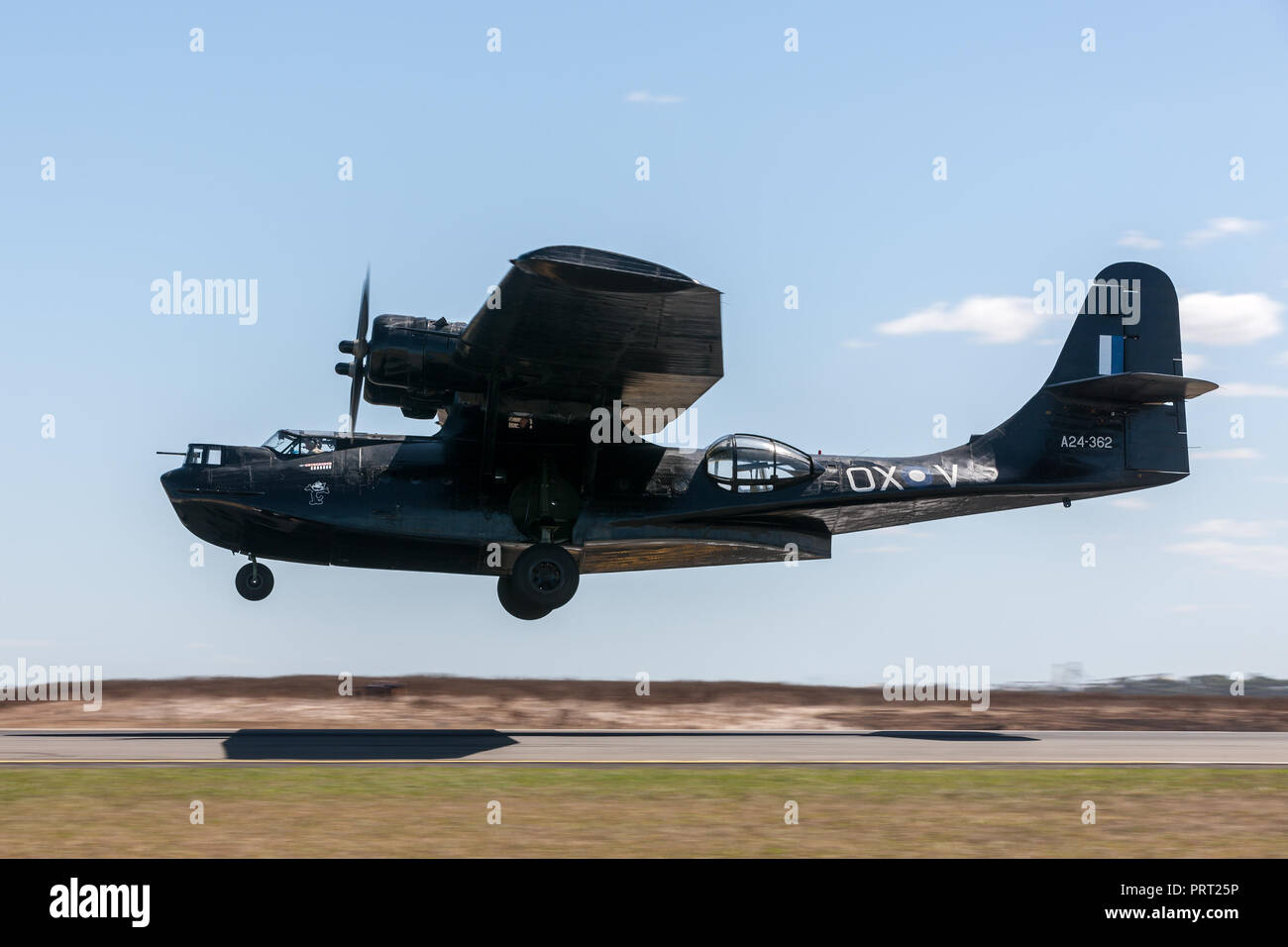 Consolidated PBY Catalina Flugboot VH-PBZ betrieben, die von der historischen Aircraft Restoration Society (HARS) das Tragen der berühmten ÔBlack CatsÕ livery her Stockfoto