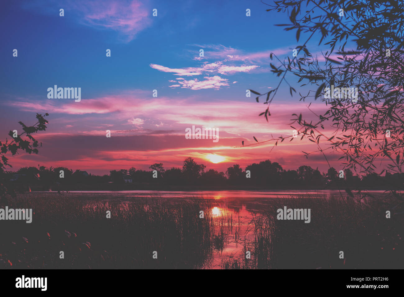 Am frühen Morgen, Sonnenaufgang über dem See. Landwirtschaftliche Landschaft Stockfoto