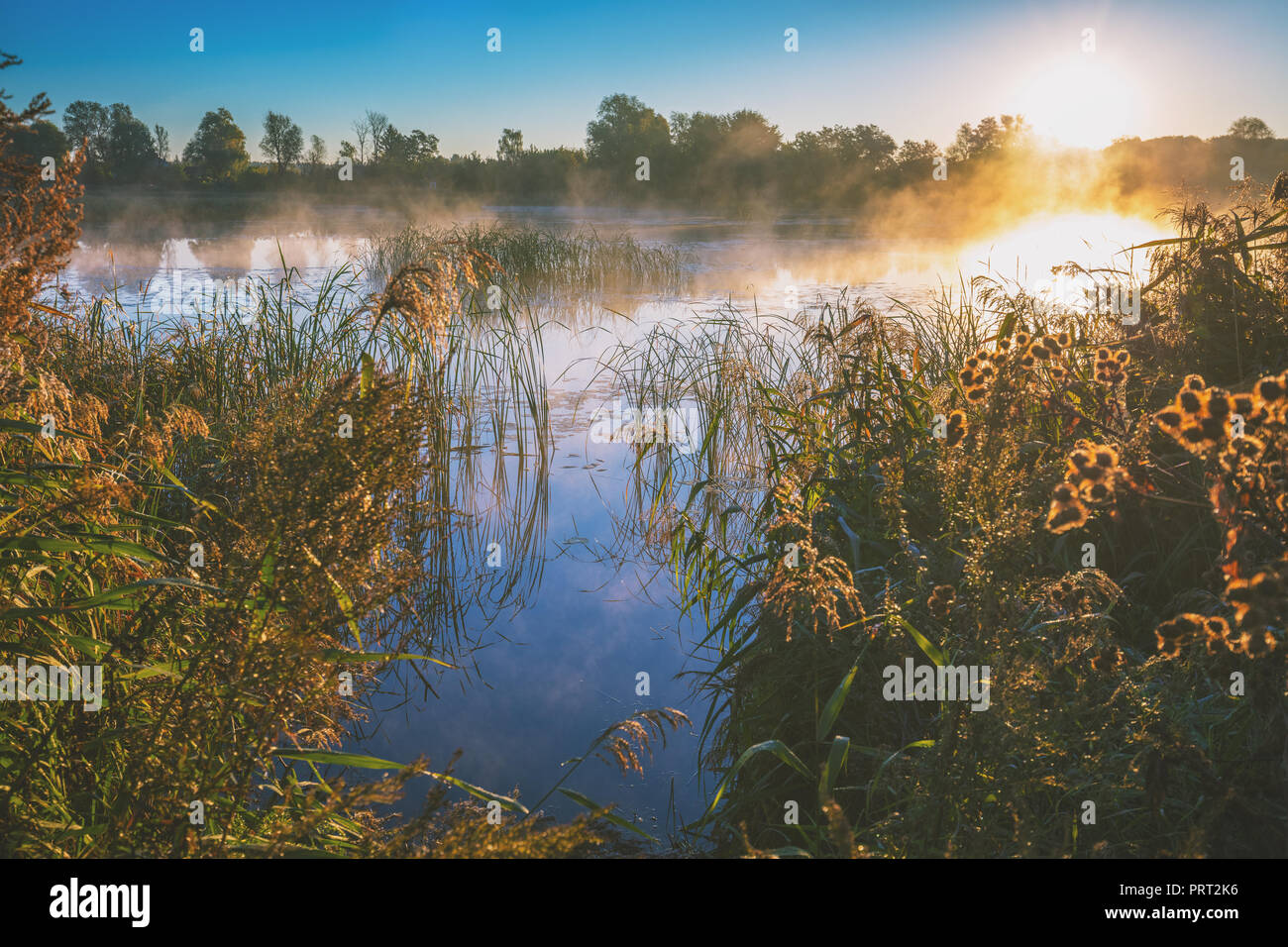 Am frühen Morgen, Sonnenaufgang über dem See. Landwirtschaftliche Landschaft Stockfoto