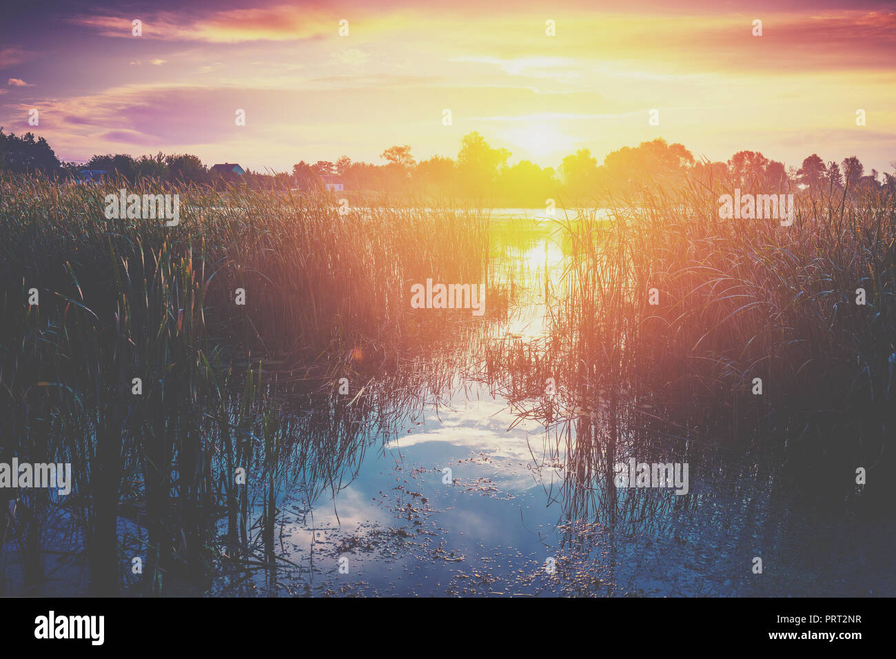 Am frühen Morgen, Sonnenaufgang über dem See. Landwirtschaftliche Landschaft Stockfoto
