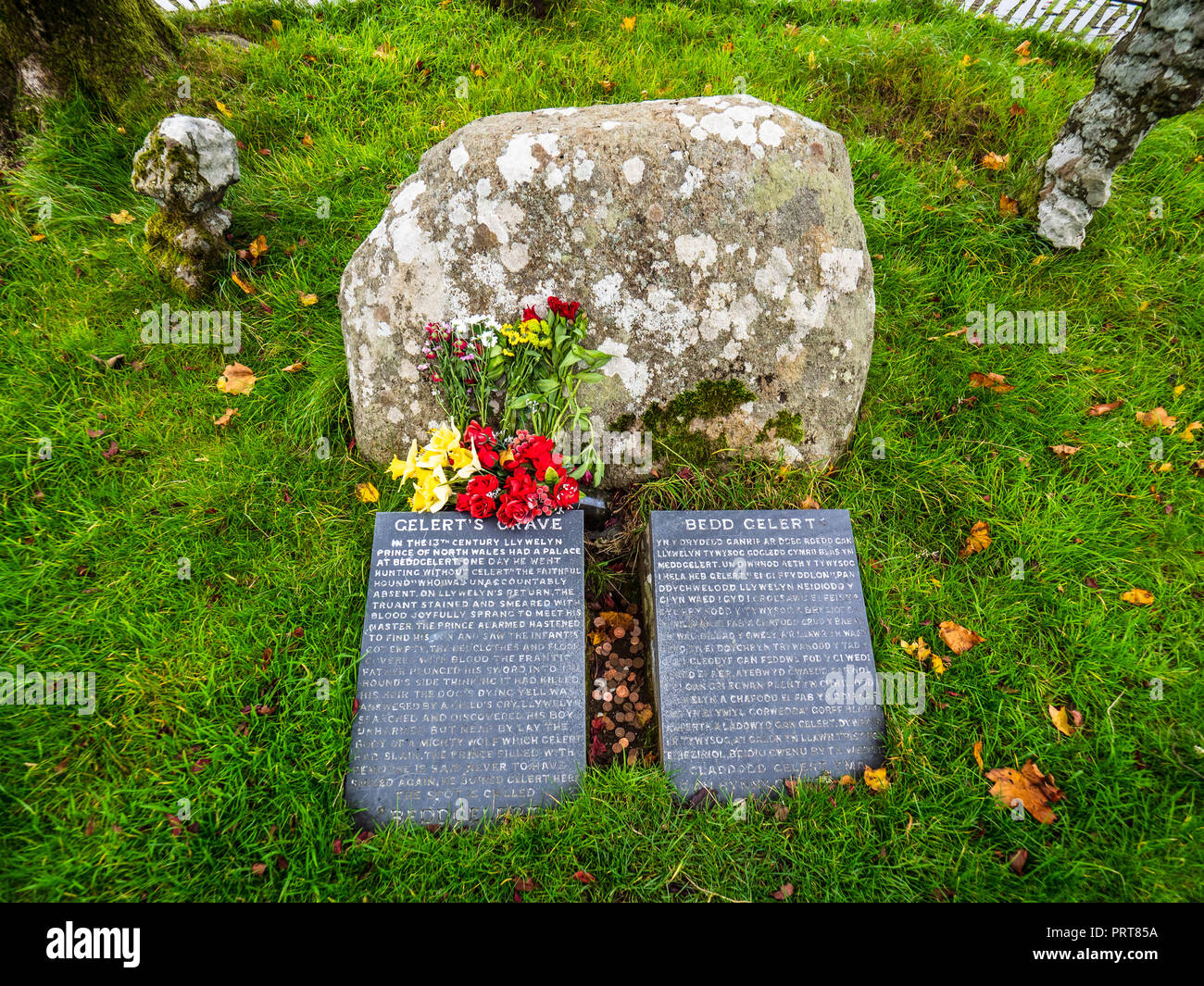 Beddgelert Gelerts Grab - Grab von Gelert der Hund in der Walisischen Legende über einen Hund versehentlich von seinem Meister Llywelyn die Große getötet Stockfoto