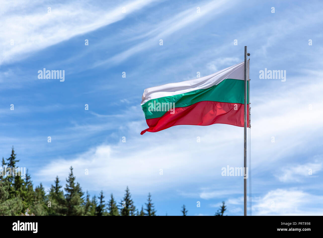 Die Nationalflagge von Bulgarien mit wenigen Kiefern und bewölkter Himmel im Hintergrund. Stockfoto