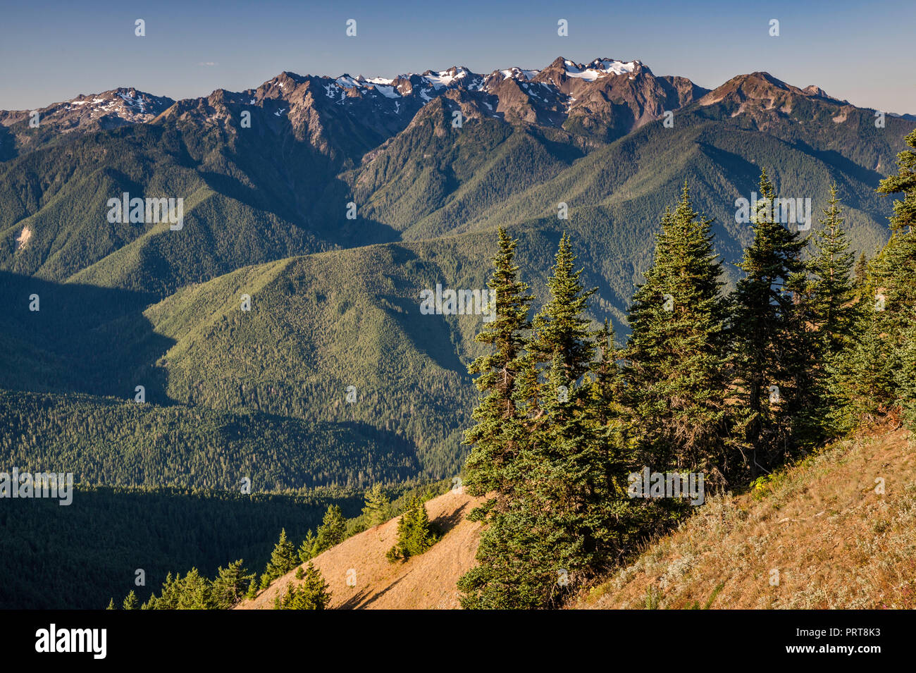 Mount Carrie (Mitte), den Olymp (links), Mitte September von Hurricane  Ridge, Olympic National Park, Washington State, USA Stockfotografie - Alamy