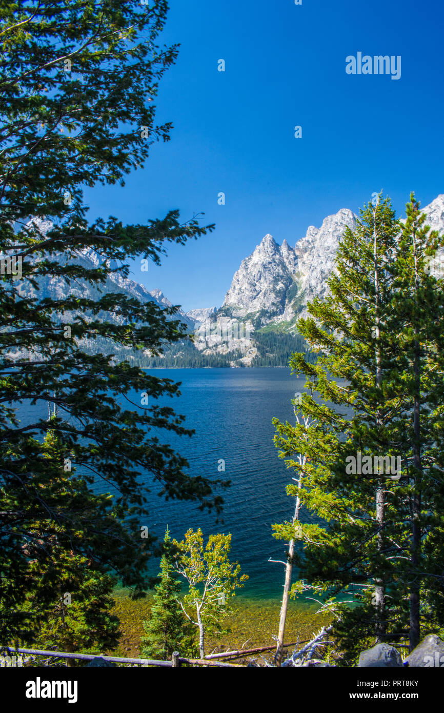 Landschaft in der Nähe von Tracy See, Grand Tetons Nat'l Park Stockfoto