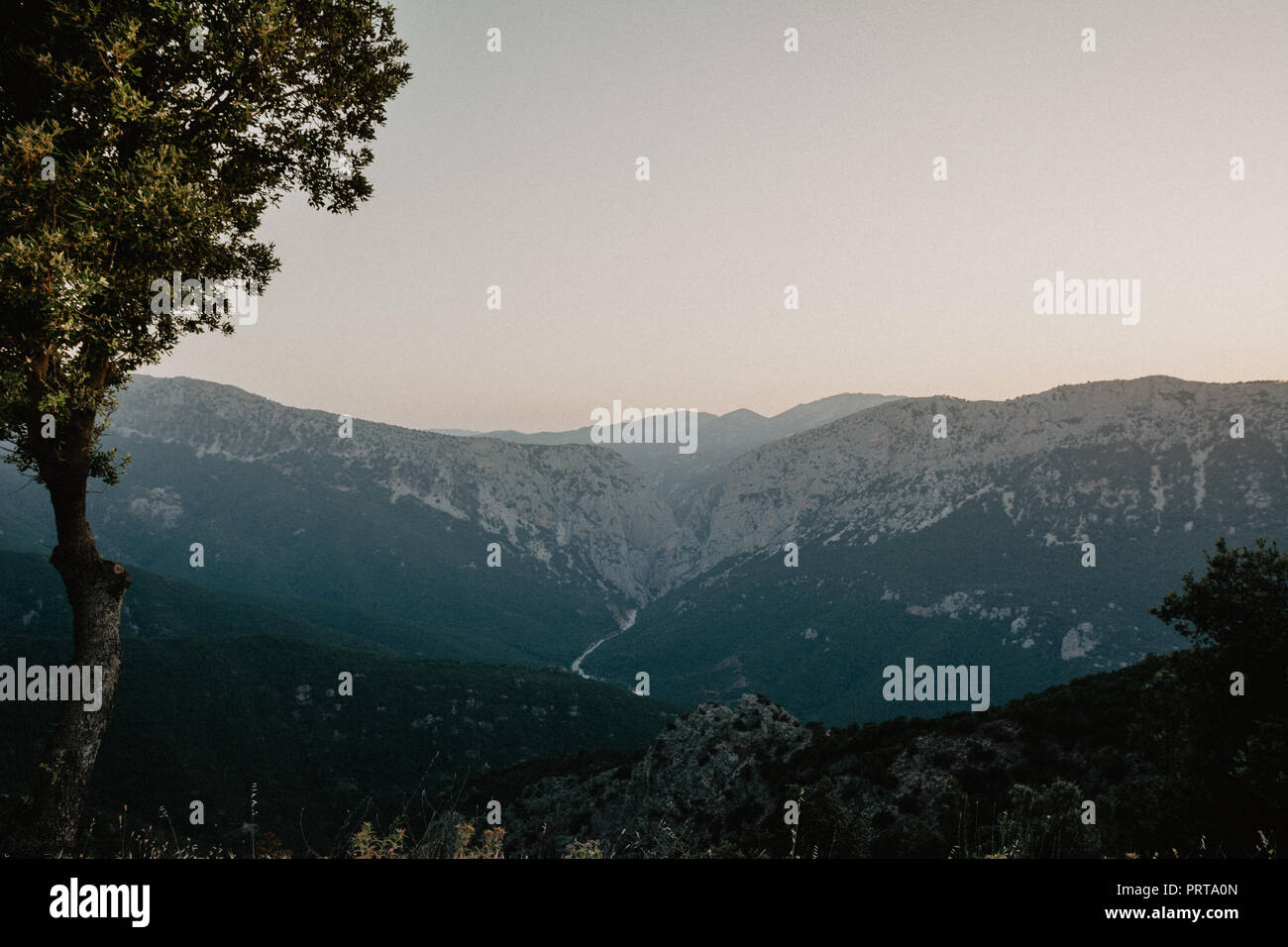 Panoramablick auf die Landschaft in der Dämmerung, 2-in-1-Optik mit Berge und ein Baum im Vordergrund, Sardinien, Orosei Region. Vintage Film Effekt mit grai Stockfoto