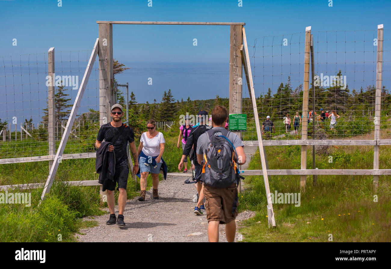 CAPE BRETON, Nova Scotia, Kanada - Menschen durch Tor der Elche exclosure Zaun auf Skyline Trail Pass im Cape Breton Highlands National Park. Stockfoto