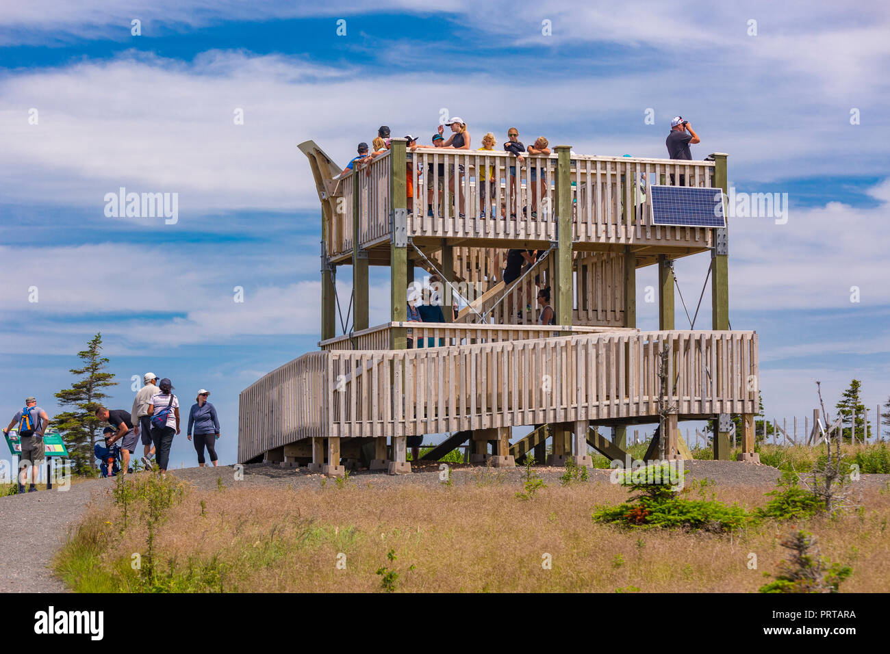 CAPE BRETON, Nova Scotia, Kanada - Menschen am Aussichtsturm in Elche exclosure auf Skyline Trail im Cape Breton Highlands National Park. Stockfoto