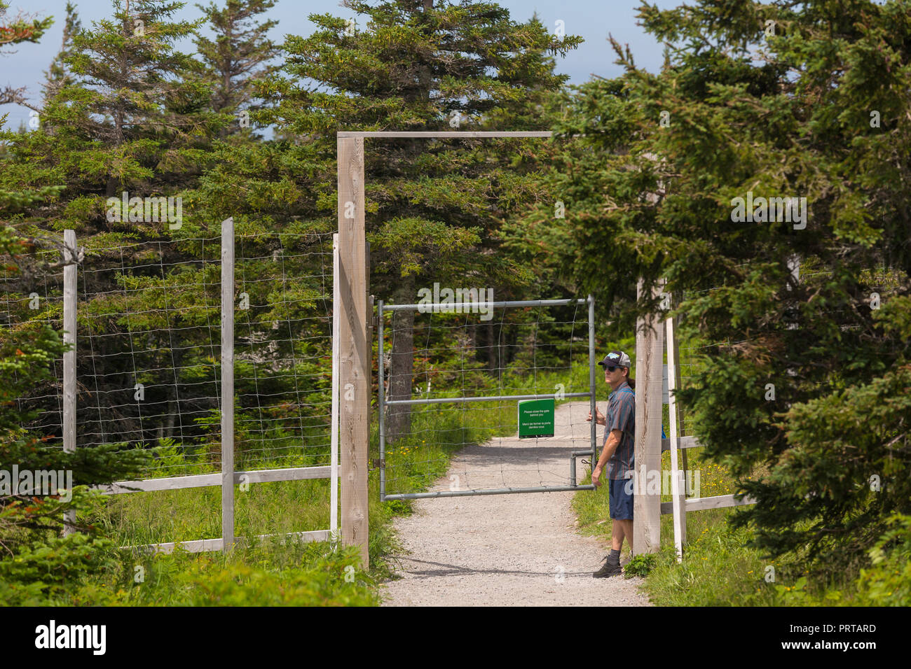 CAPE BRETON, Nova Scotia, Kanada - Wanderer am Tor der Elche exclosure Zaun auf Skyline Trail im Cape Breton Highlands National Park. Stockfoto