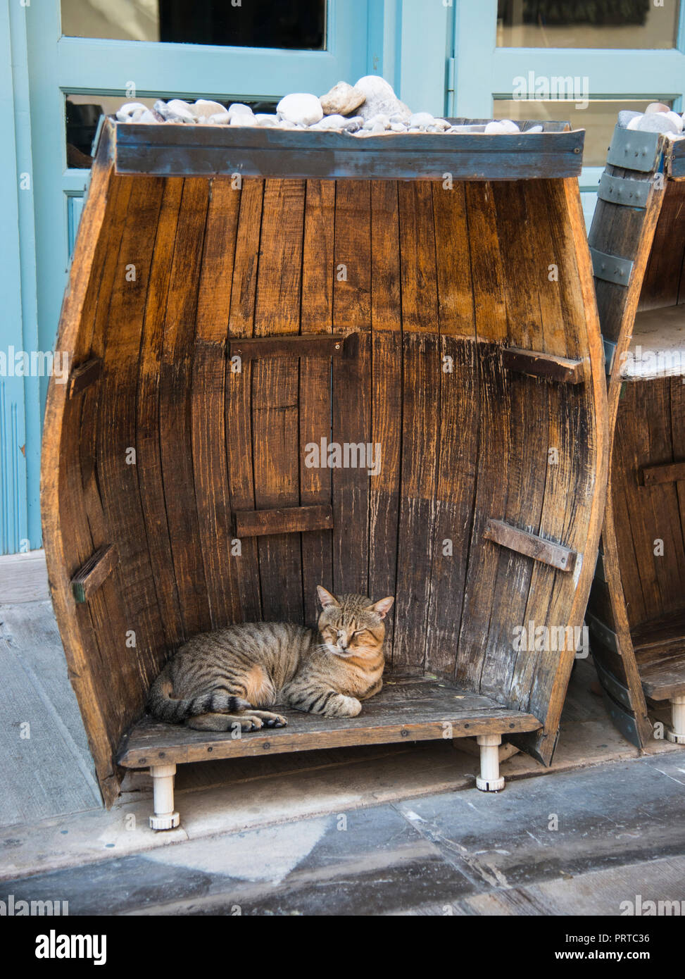 Katze schlafen in einem offenen Fass Stockfoto