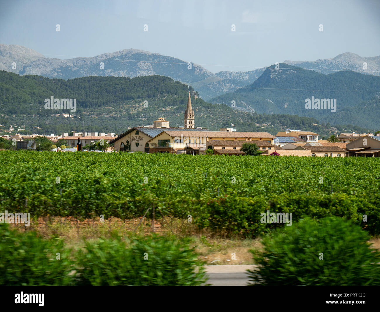 Binissalem, Mallorca, Balearen, Spanien. Stockfoto