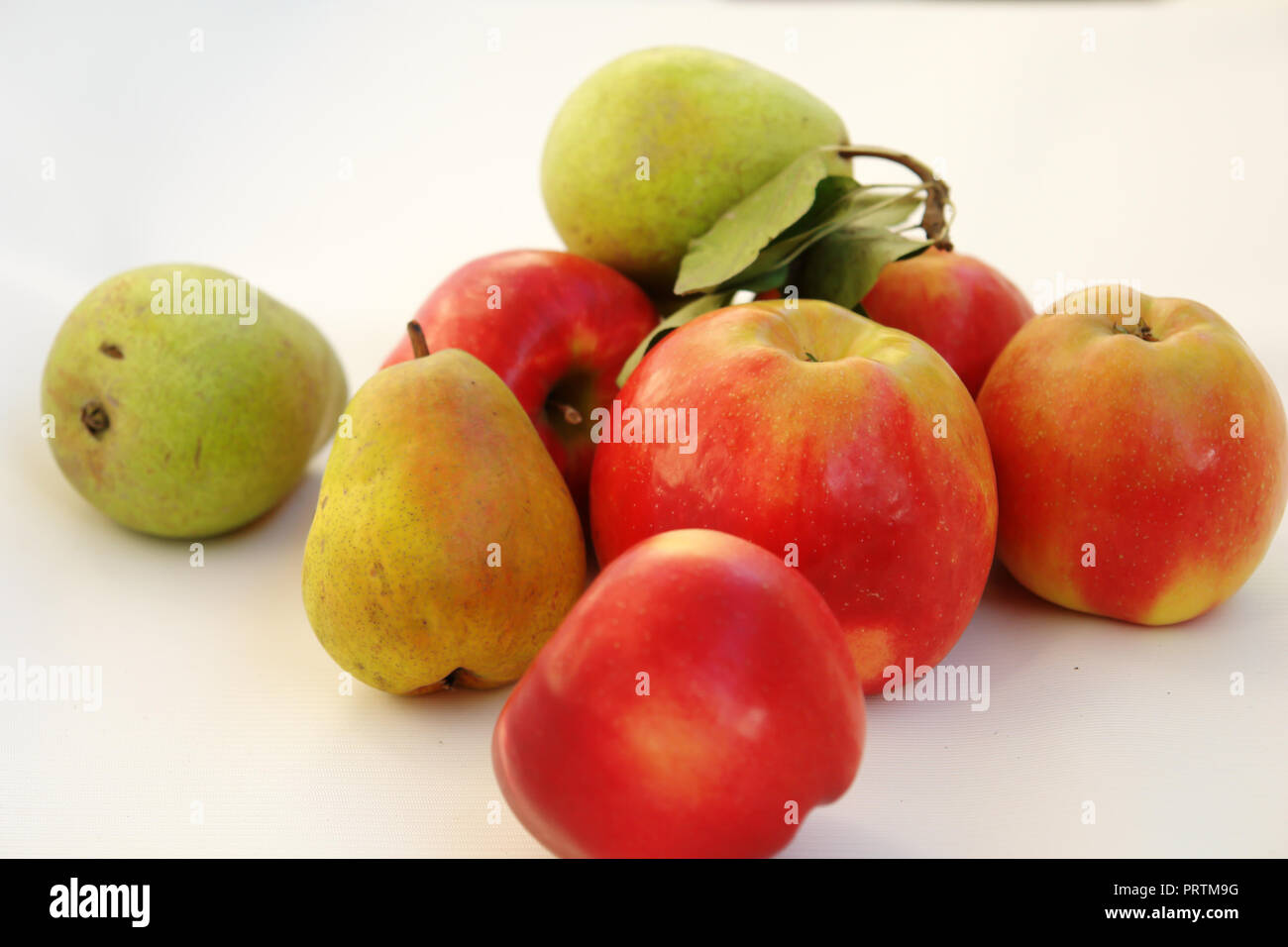 Zusammensetzung der rote Äpfel und Birnen auf einem weißen Hintergrund. Stockfoto